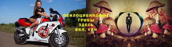 стафф Арсеньев
