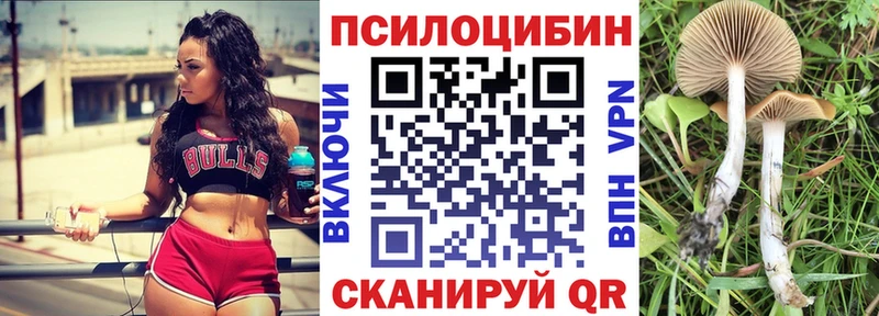 Псилоцибиновые грибы Magic Shrooms  Купить  Борисоглебск 