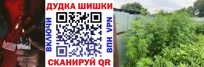 Купить закладки Борисоглебск Марихуана Ganja